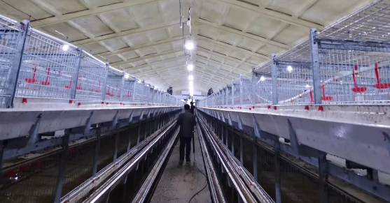 養鴨場老板：熱泵供暖溫度高，費用比燒煤還省！